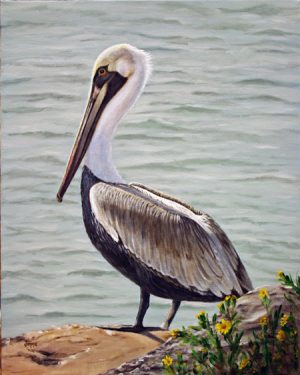 Pelican on the Waterway - Prints