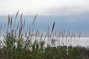 Across The Bay