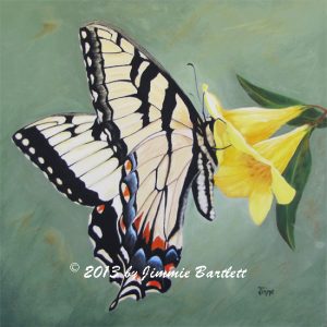Butterfly on Jasmine prints