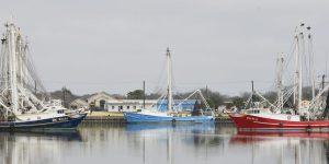 Palacios Harbor