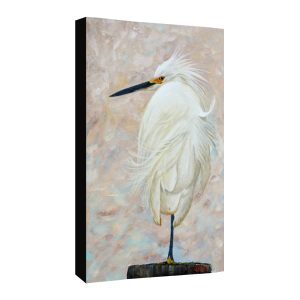 Egret Basking in the Sun canvas print of the original painting