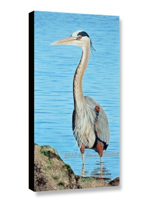 Heron on the Hunt, canvas print of the original painting