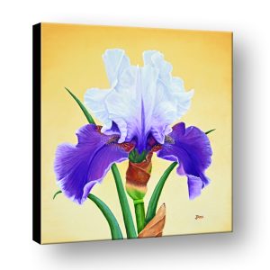 Purple Iris canvas prints