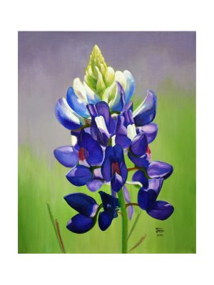 Portrait of a Bluebonnet print of original painting