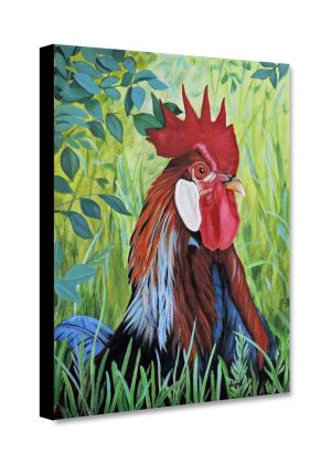 Outlaw Rooster