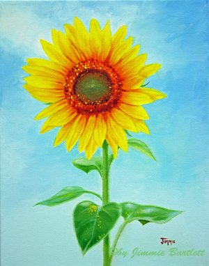 Tall Sunflower