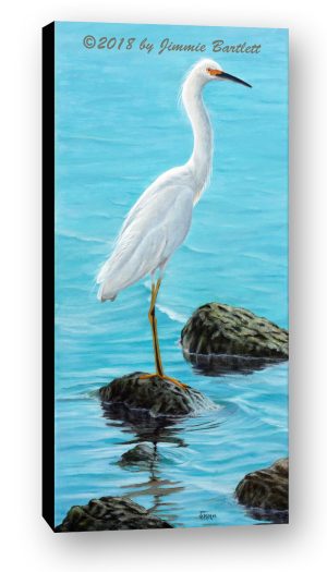 White Egret on the Rocks