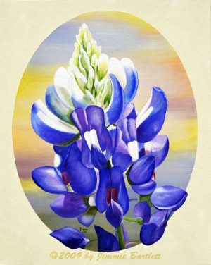 Blue Bonnet in oval