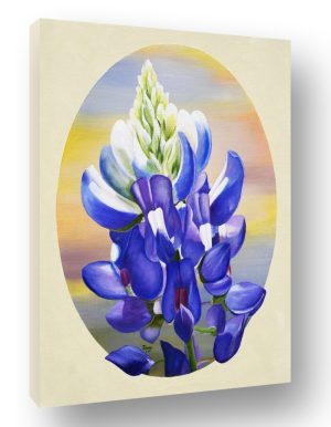 Bluebonnet in an Oval canvas print of original