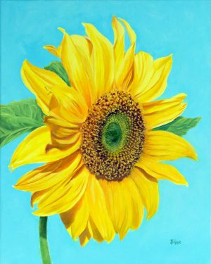 Sunflower Portrait