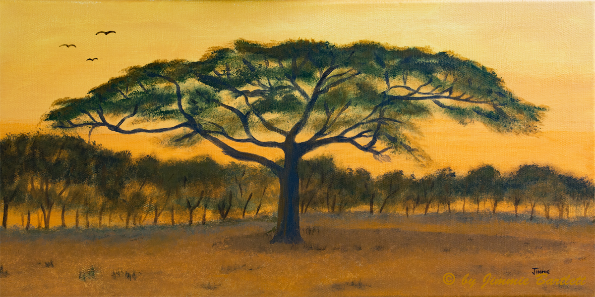 African Sunset