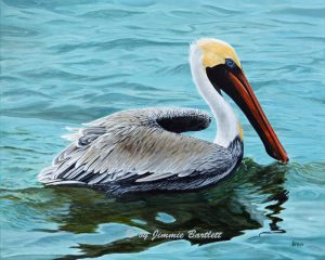 Palacios Bay Pelican