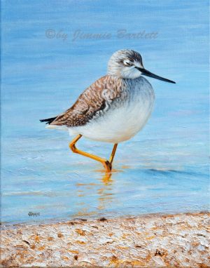 Sleepy Little Bird At Oyster Lake - prints of original painting