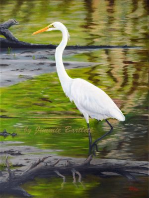 Great White Egret