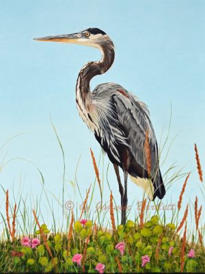 Great Blue Heron on Matagorda Beach prints of original