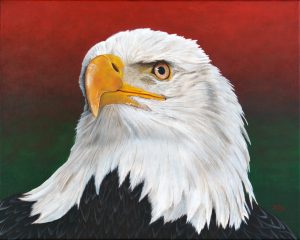 American Bald Eagle original painting