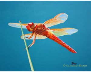 Dragon Fly Original Oil Painting