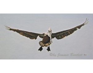 Pelican Landing, prints