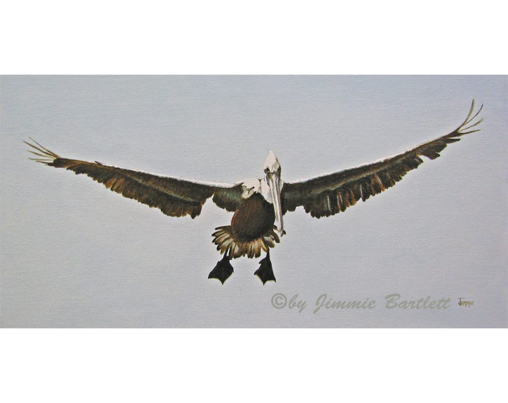 Pelican Landing, prints