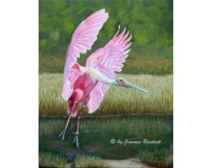 Roseate Spoonbill in the Marsh canvas print