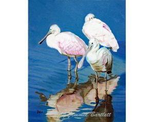 Roseate Spoonbills original painting
