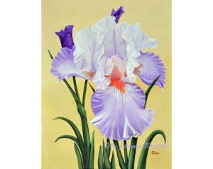 Springtime Iris original painting