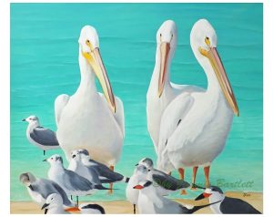 White Pelicans original painting