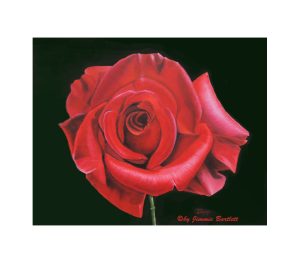 Passionate Rose original oil painting