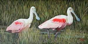 Prints, Roseate Spoonbills in the Marsh