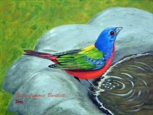 Painted Bunting Web Dsc 9685