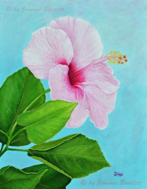 Hibiscus Rose Of Sharon Web