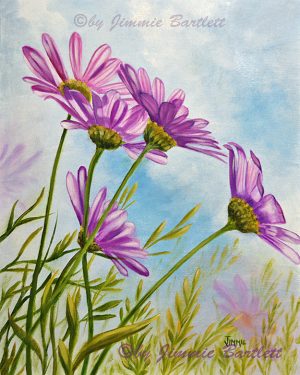 Daisies In The Wind Web