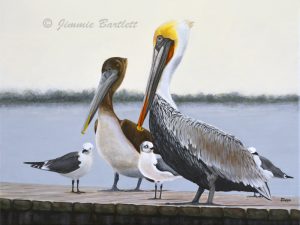 Palacios pelicans and friends for web dsc 0486