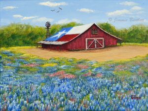 Texas flag barn dsc 0300 web