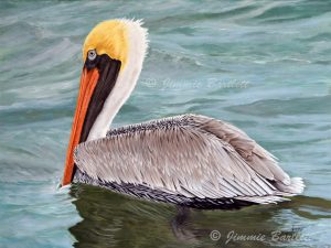 Palacios big boy pelican web