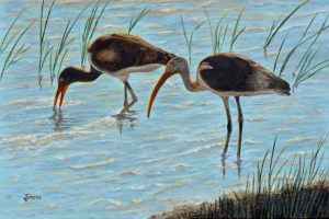 Curlews full res 12x18 DSC