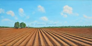 Fertile Land WEB low res DSC